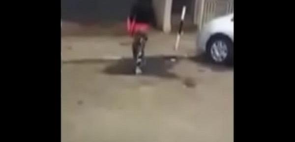  commercial sex worker destroying property of a man who refused to pay